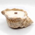 Sand / Wild Plum, Rose, Patchouli