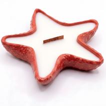 Starfish Candle - Brick Red / Lime, mango