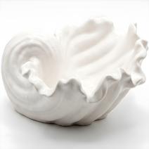 Design bowl Shell - White