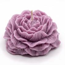 Peony Candle - Purple / Lavender